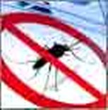 Consiglio ai viaggiatori che intendono recarsi in zone a rischio Malaria